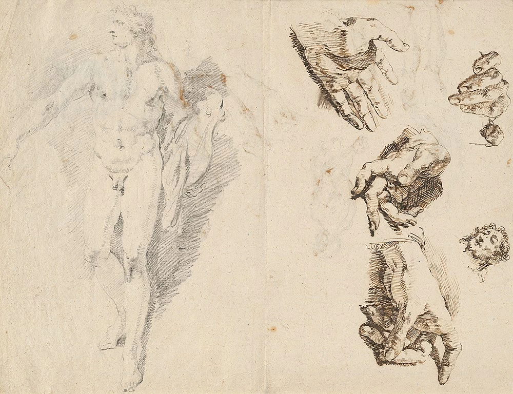 Apollo e studi di mano dell'artista - National Gallery of Art, Washington DC